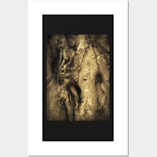 Tree Trunk Posters and Art